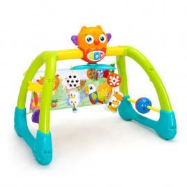 Jucarie 5 in 1 pentru gimnastica Owl