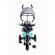Tricicleta cu sezut reversibil sun baby 017 fresh 360 - turquoise grey