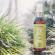 Spray conditioner par Feel Up 125 ml - leave-in - cu Ceai Matcha, caviar verde, Organique
