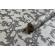 Tapet MallDeco Belis Decor argintiu-perlat Art.7-1036 vinil compact lavabil pentru living sau dormitor dimensiune 1.06m x 1005m