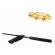 Set baston telescopic negru 64 cm + box craniu auriu