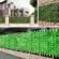 3X0.5M Artificial Faux Ivy Leaf Privacy Fence Screen Hedge Decor Panels Garden Outdoor 0.5x3M Color printed sweet potato leaves
