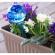 Globuri decorative pentru udat florile (pachet de 2)