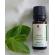 Ulei esential organic Menta,10 ml