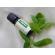 Ulei esential organic Menta,10 ml