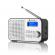 Radio portabil gogen dab 300n cu tuner dab+ si fm, 1 w, lcd , baterie 2000 mah