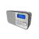 Radio portabil gogen dab 300n cu tuner dab+ si fm, 1 w, lcd , baterie 2000 mah