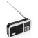 Radio portabil cu acumulator gogen fmp 125 btw, fm, bluetooth, lanterna, card