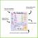 Calendarul meu magnetic 40 piese fiesta crafts