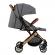 Carucior sport estelle momi gold grey