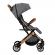 Carucior sport estelle momi gold grey