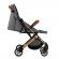Carucior sport estelle momi gold grey