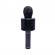 Microfon karaoke cu baterii