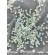 Set 1440  decoratiuni unghii, cristale conice, Transparent