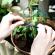 Sistem de irigare prin picurare, pentru plante, capacitate 10L, Green Blade