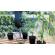 Sistem de irigare prin picurare, pentru plante, capacitate 10L, Green Blade