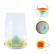 Capcana pentru insecte, Pest Guard, Eco Friendly