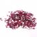 Strasuri acrilice, decoratiunie 2mm, 2 g, Fuchsia, Vivo