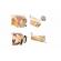 Capcana soareci tip tunel, 32 x 7 cm, maro transparent, 407804