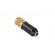 Microfon condensator pentru studio,cu cablu, negru/auriu, FD0801