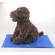 Patura termica cu gel pentru animale de companie, Cooling Pet Mat, 40 x 50 cm, Medium