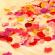 Petale trandafiri artificiale 100 bucati, Portocaliu