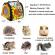 Geanta de transport pentru hamsteri si animale de companie mici Aexya multicolor