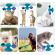 Jucarie interactiva pentru pisici pentru intretinere dentara dezvoltare si masaj rotativa Aexya albastru