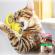 Jucarie interactiva pentru pisici pentru intretinere dentara dezvoltare si masaj rotativa Aexya galben