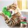 Jucarie interactiva pentru pisici pentru intretinere dentara dezvoltare si masaj rotativa Aexya verde