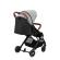 Carucior sport estelle momi grey