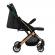 Carucior sport estelle momi gold green