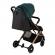 Carucior sport estelle momi gold green