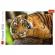 Puzzle trefl 500 portretul tigrului