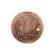 Moneda bitcoin pentru colectionari,gonga® roz