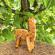 Set 4 forme model diverse animale pentru aluat, gonga® portocaliu