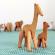Set 4 forme model diverse animale pentru aluat, gonga® portocaliu