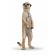 Papo figurina suricata