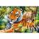 Puzzle trefl 1500 piese - tigri bengalezi in padurea tropicala