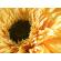 Set 2 floarea soarelui artificiala 50x15 cm
