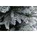 Brad artificial verde nins 1436 ramuri martino 150x240 cm