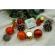Set de 24 ornamente de brad, flippy, de tip glob, rosu/ maro, din polistiren, cu finisaj sclipitor , cutie  5  cm adancime x 29  cm lungime x 19  cm inaltime