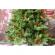 Brad artificial de craciun bogat, flippy, 1.80 m inaltime, 774 ramuri, premium, verde, decorat cu 56 conuri pin rosii, interior/ exterior