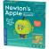 Kit stem - marul lui newton, 75 piese