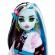 Monster high papusa frankie stein cu animalut si accesorii