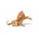 Papo figurina dragon cu doua capete auriu