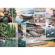 Puzzle 1000 piese ravensburger - colaj coasta de vest