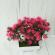 Bonsai decorativ artificial in ghiveci, roz, 20 cm, mct-20k322r
