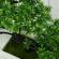 Bonsai decorativ artificial in ghiveci, verde, 29 cm, mct-18k211v