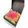 Cutie pentru bijuterii  cu licheni stabilizati si trandafir criogenat rosu 8 cm